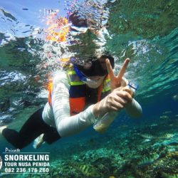 bali snorkeling