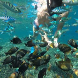 #penida #balitour #gilitrawangan #travelnusapenida #beach #wisatanusapenida #nusapenidabali #liburanbali #opentrip #uluwatu #exploreindonesia #sanur #lembongan #penidatrip #atuhbeach #paketnusapenida #balibible #pesonaindonesia #penidaisland #tourbali #nusadua #travelphotography #jimbaran #nusapenidaholiday #indotravellers #nusapenidatours #diving #kelingking #denpasar #travelgram