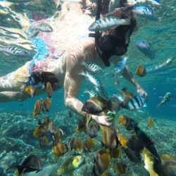 Mangrove point Nusa Penida Bali