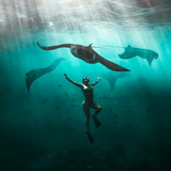 #nusapenida #snorkeling #privatesnorkeling