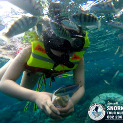 private snorkeling