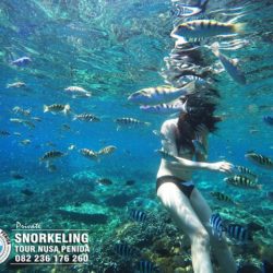 snorkeling nusa penida
