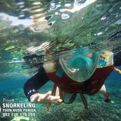 penida snorkeling