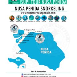 snorkeling nusa penida