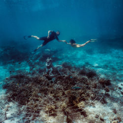 penida snorkeling