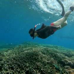 nusa penida snorkeling