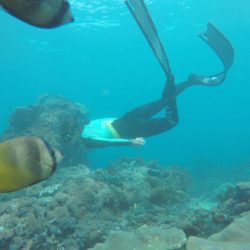 Snorkeling Nusa Penida