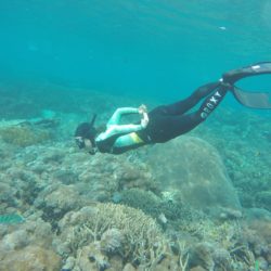snorkelingday