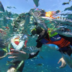 Gamat Bay Nusa Penida