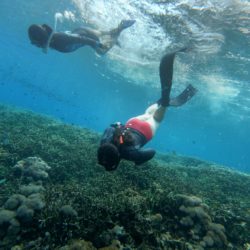 snorkeling