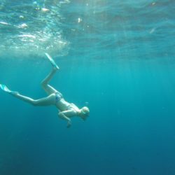 manta ray snorkeling
